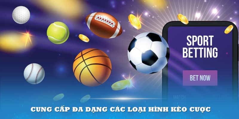 Đa dạng các loại hình kèo cược trên thể thao 79king